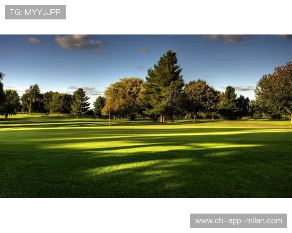 _良辰美景：高尔夫球场上的夏日盛会_，高尔夫球场风景