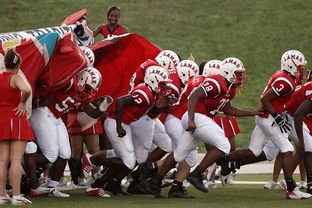 MILANSPORT入口-全国青少年长跑赛在南京掀起跑步热潮，青少年长跑标准