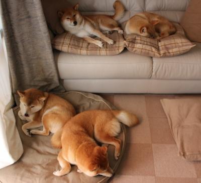 中甲联赛鼓励本地青训球员一线队出场锻炼，中甲一线队球员工资