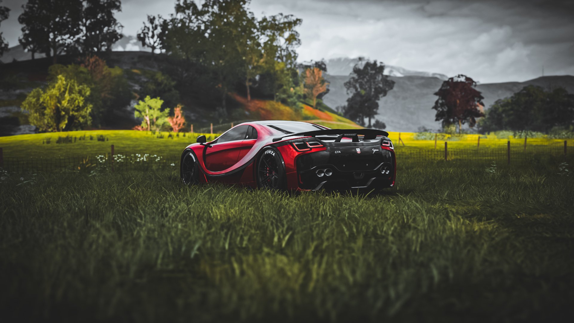 政府与体育联盟携手，推动橄榄球新政策落地，橄榄球方案