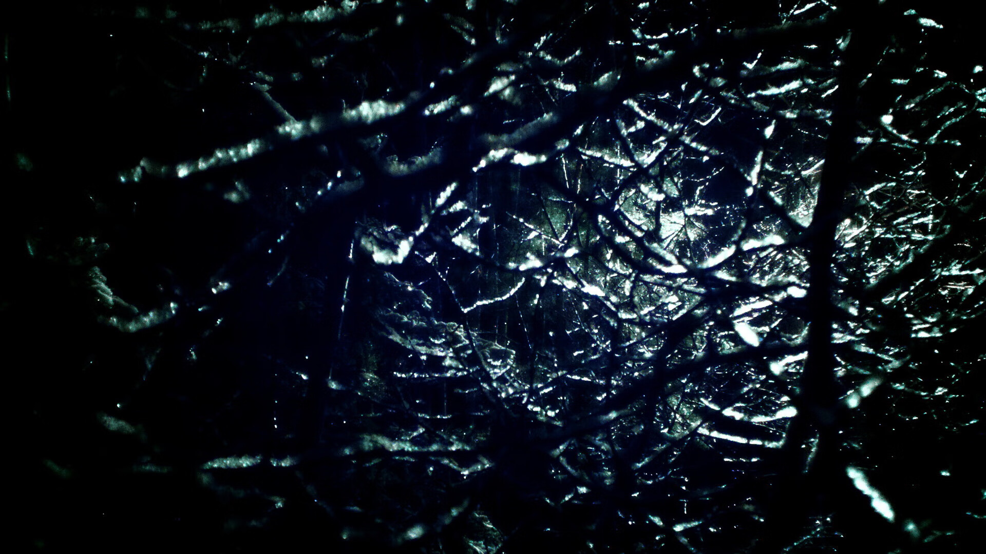 沃尔什展现蝶泳极限速度，蝶泳最好成绩