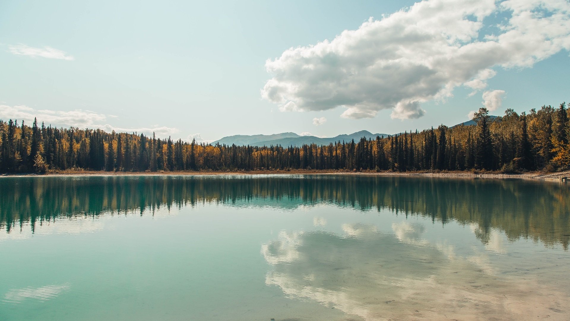 维尔·冯·威克：南非队进攻端的核心力量，始终威胁着对方防线，南非韦尔科姆