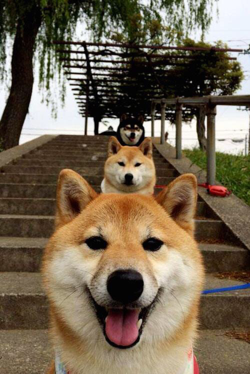 米兰体育APP-美洲杯明星争光：精彩表现，燃爆赛场！，美洲杯有哪些明星